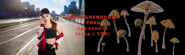 первитин Алексеевка