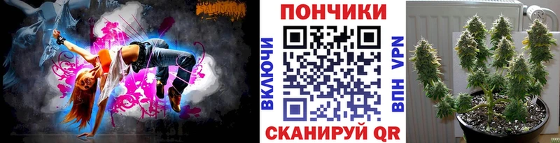 Шишки марихуана конопля  Лодейное Поле 